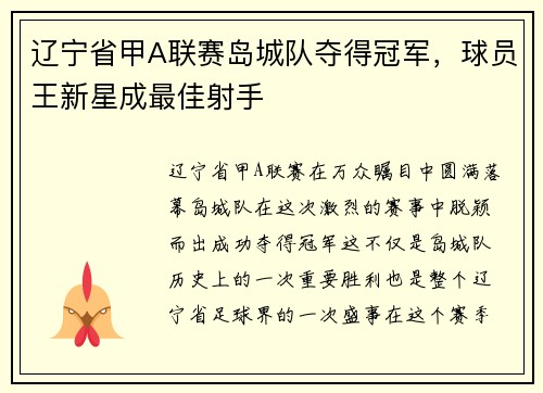 辽宁省甲A联赛岛城队夺得冠军，球员王新星成最佳射手